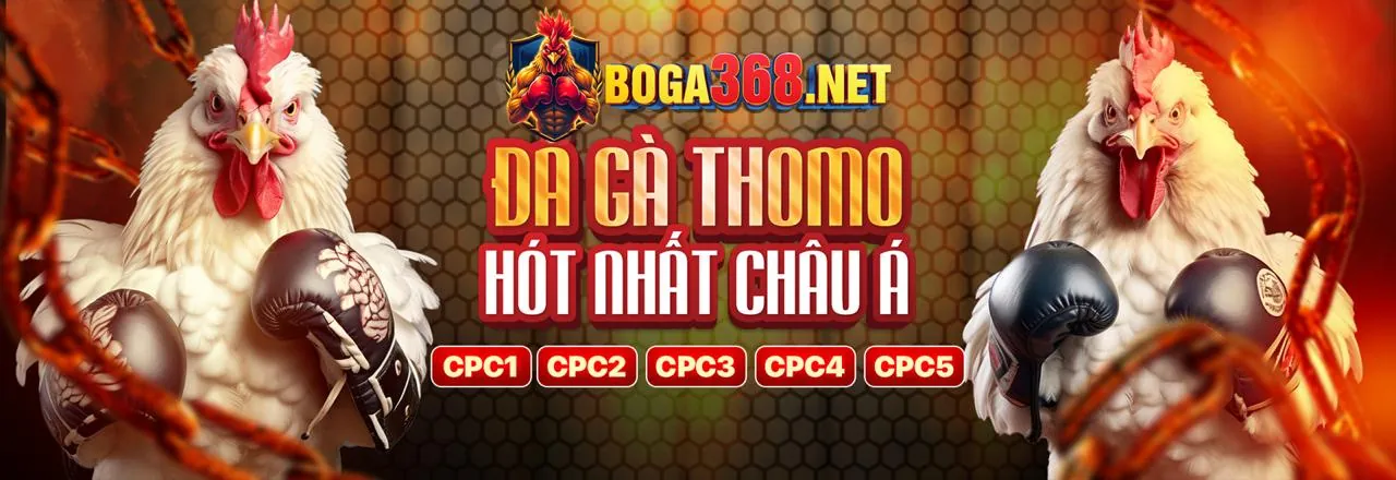 Cá cược thể thao trực tiếp với tỷ lệ kèo động